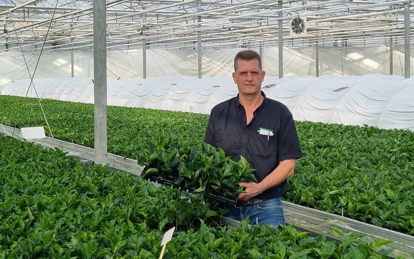 Peeters Potplanten